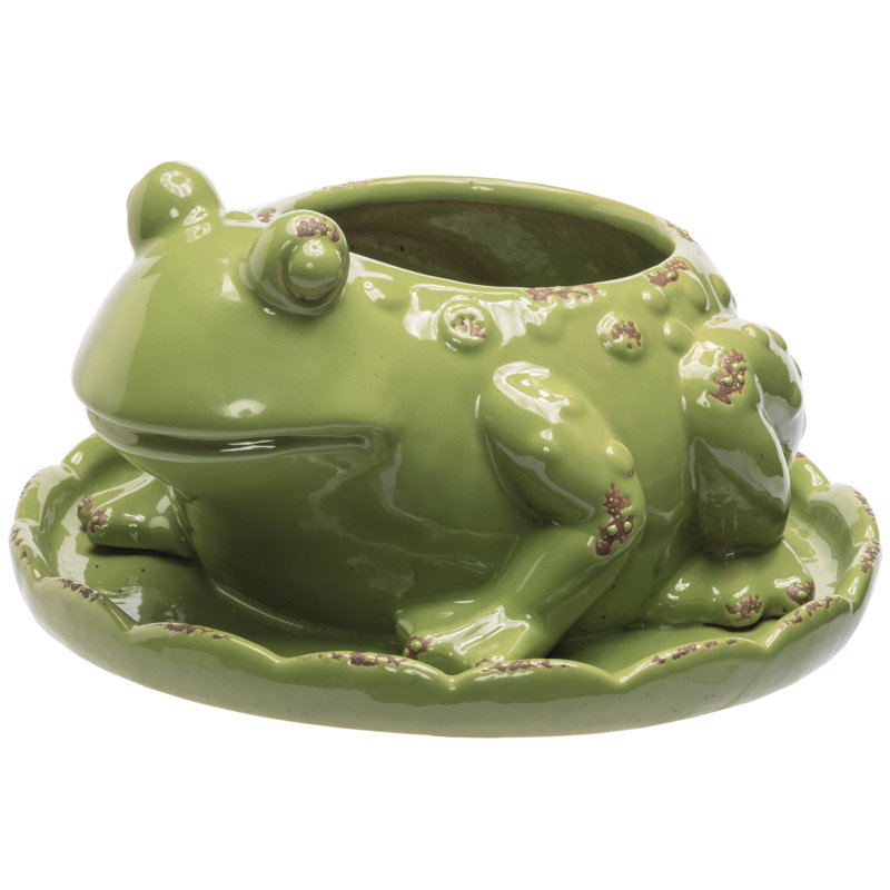 Prinz Frog Glazed Ceramic Statue Planter & Reviews Wayfair